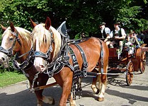 Anklicken f�r grosses Bild