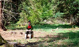 Anklicken f�r grosses Bild