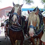 Anklicken f�r grosses Bild