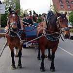 Anklicken f�r grosses Bild