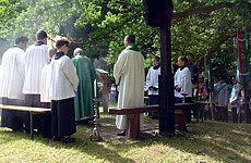 Anklicken f�r grosses Bild