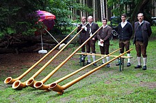 Anklicken f�r grosses Bild