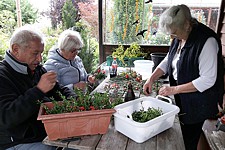 Anklicken f�r grosses Bild