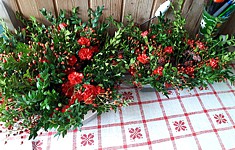 Anklicken f�r grosses Bild