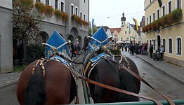 Anklicken f�r grosses Bild