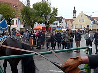 Anklicken f�r grosses Bild